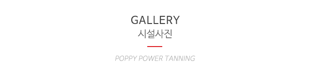 양귀비파워태닝_이미지